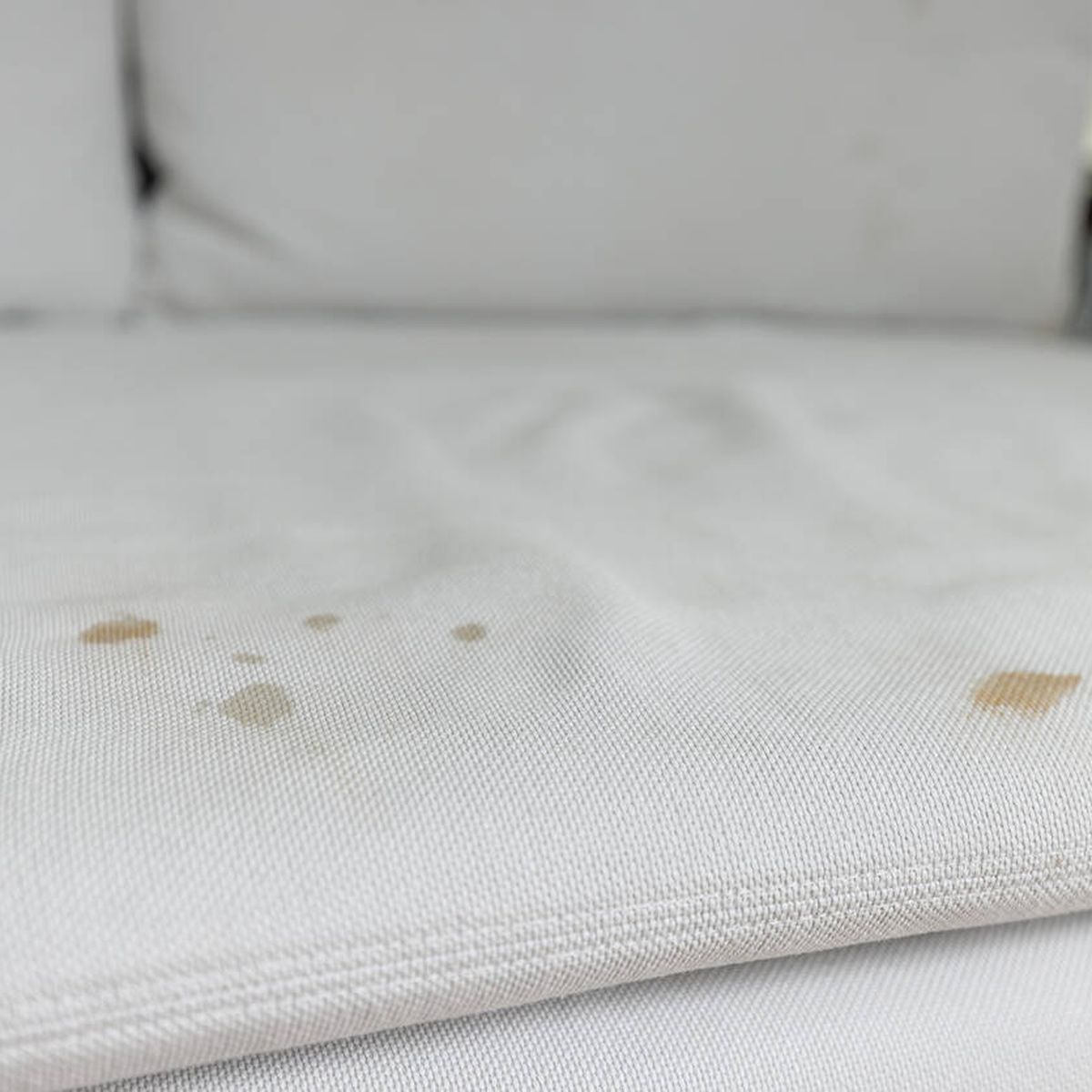 Cómo limpiar tu sillón de tela en seco: así puedes quitar la mancha sin  mojarlo