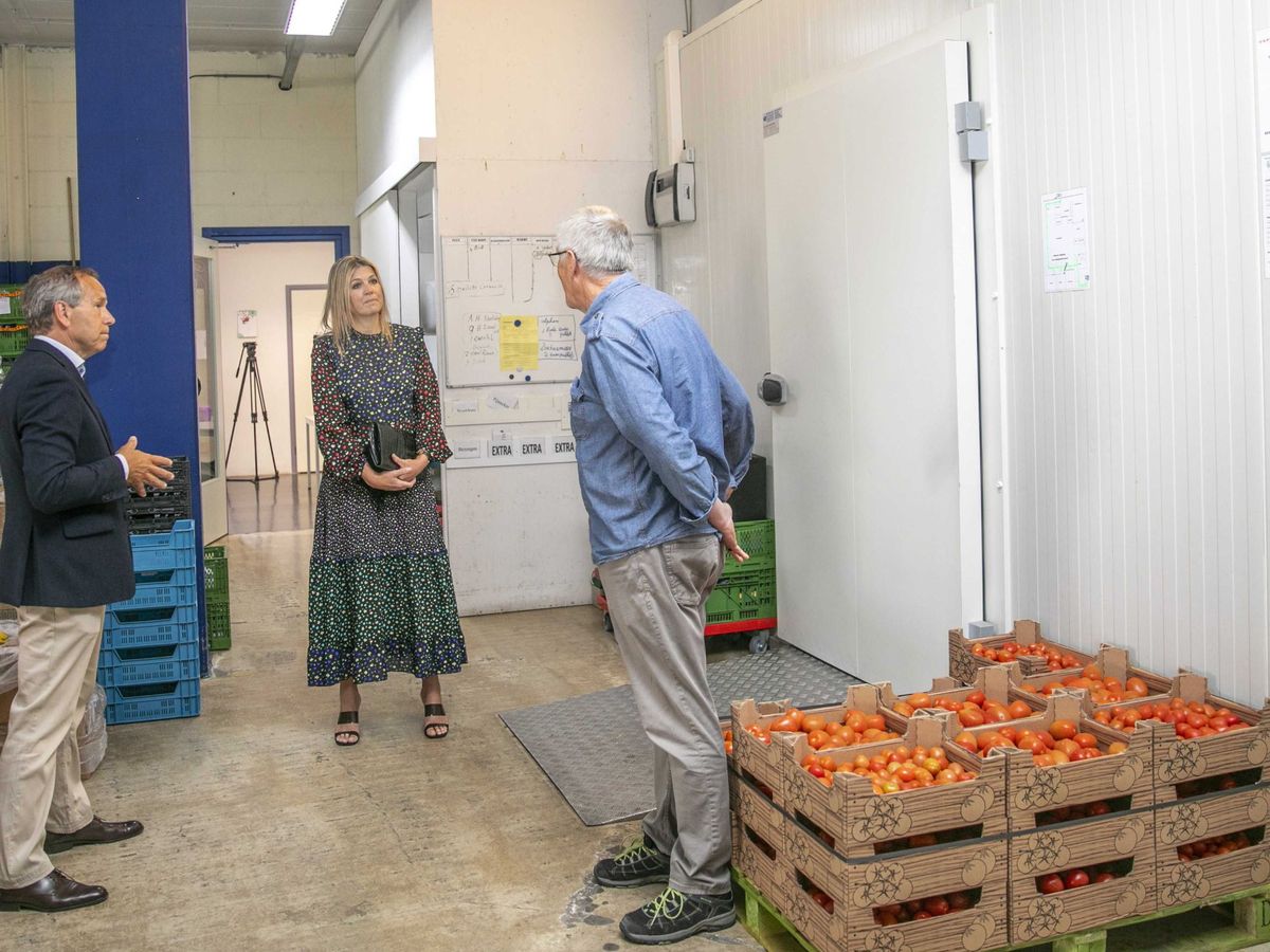 Foto: La reina Máxima visita el Banco de Alimentos de Delft. (EFE)
