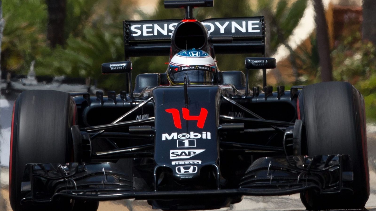 Foto: Fernando Alonso, este sábado durante la clasificación.
