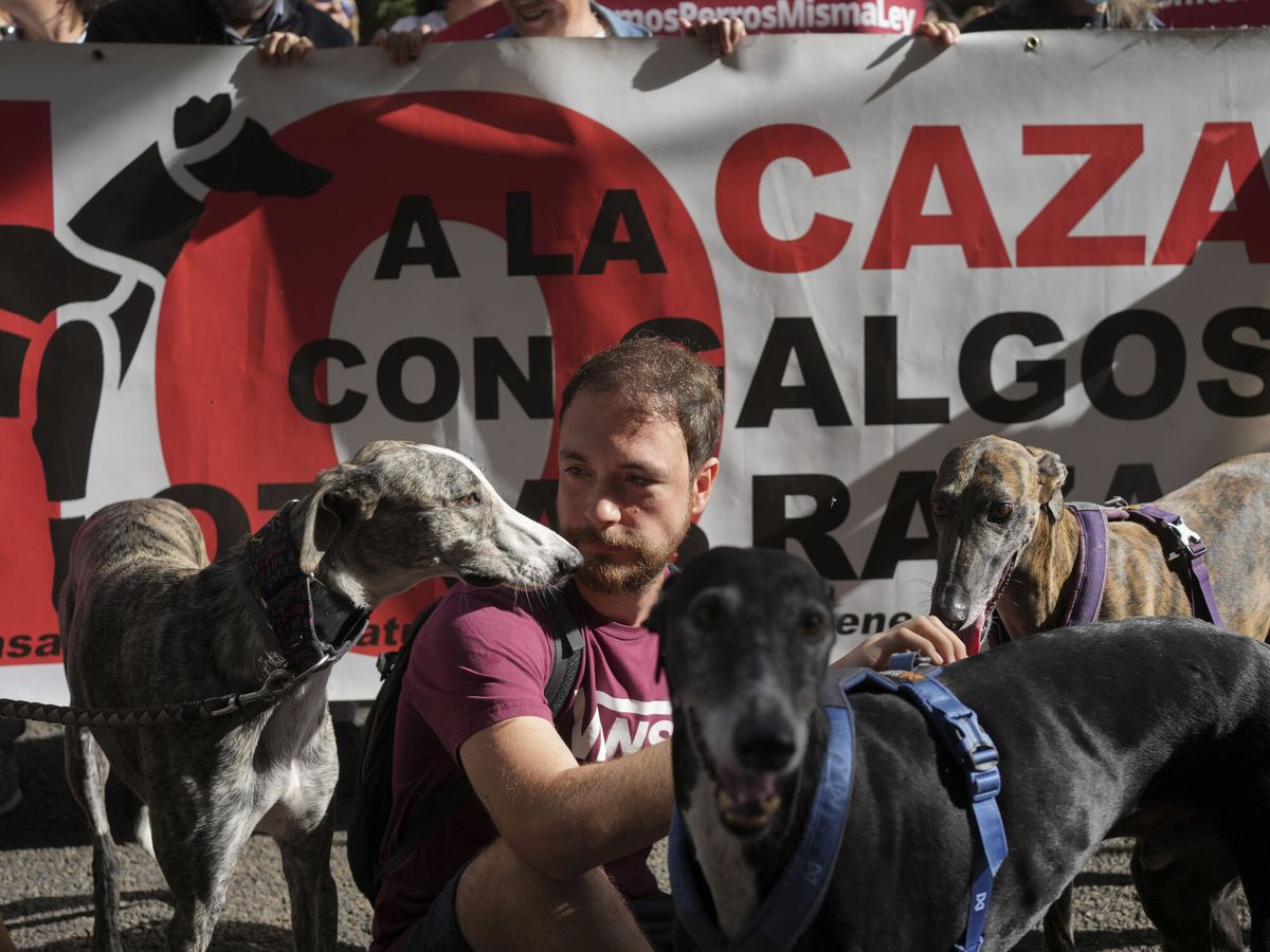 Foto: Animalistas con perros protestan frente a la sede del PSOE. (EFE/Borja Sánchez-Trillo)