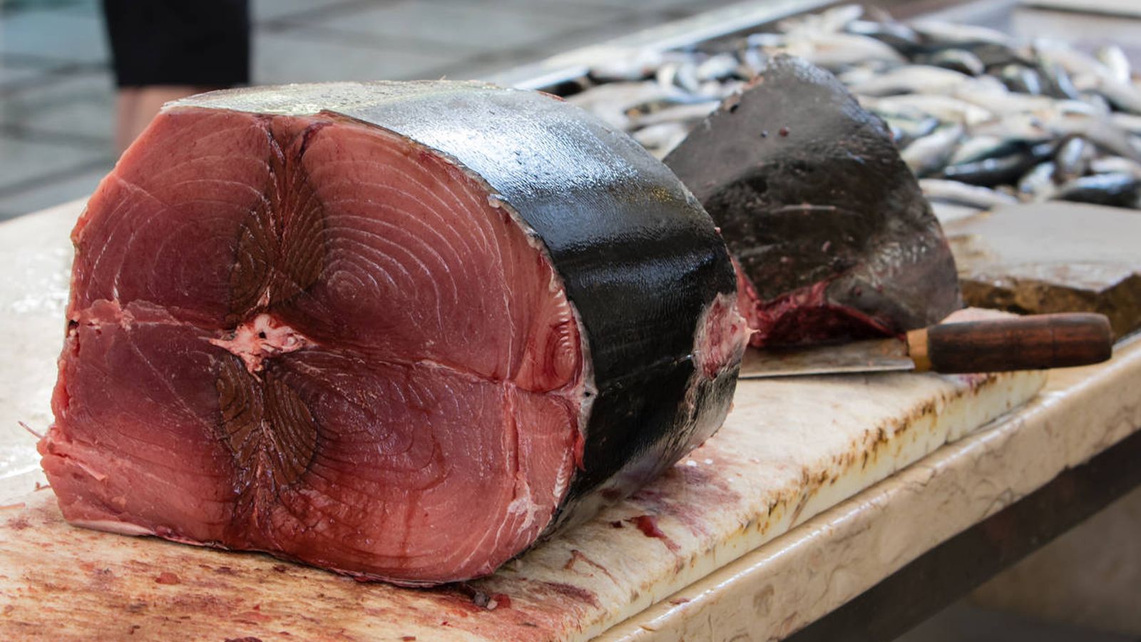 Foto: Imagen de archivo de un filete de atún rojo