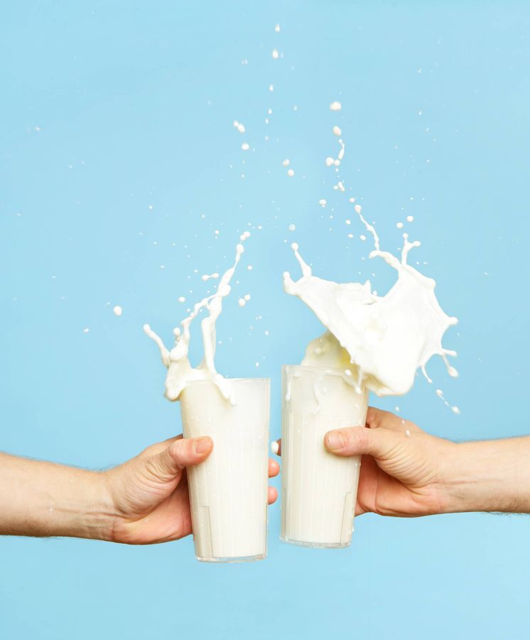 Foto: Sin lactosa, una solución para seguir brindando con leche. (iStock)