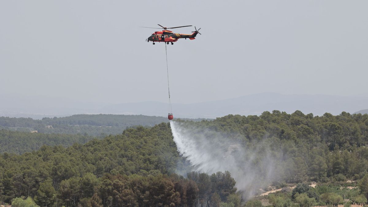 Declarado un incendio forestal fuera de control en Aranjuez (Madrid)