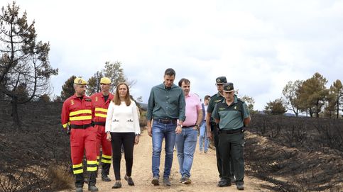 Sánchez anuncia 2M para la Sierra de la Culebra: Zamora será declarada zona gravemente afectada