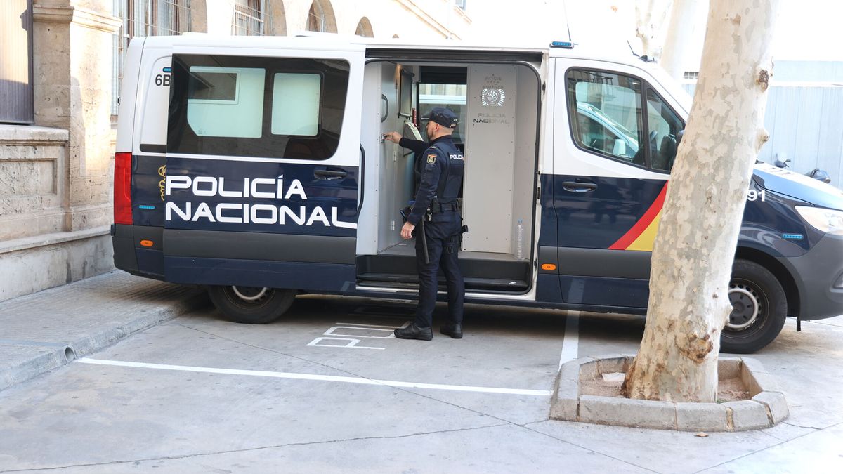 La Policía detiene a cuatro italianos por una presunta violación grupal a una joven en Palma