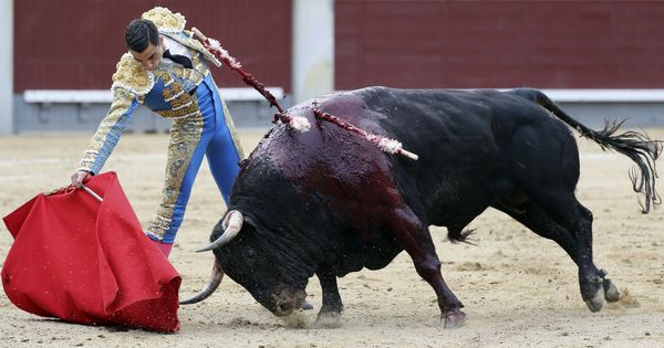 Foto: El diestro Paco Ureña en la lidia de su primer toro. (EFE)