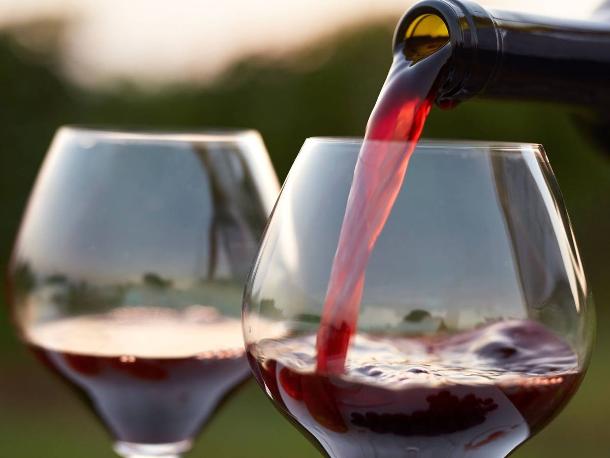Cómo elegir bien la copa de vino a la hora de comprar