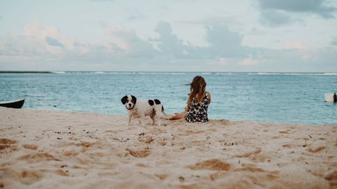 Las mejores playas para perros que puedes encontrar en España para tus vacaciones