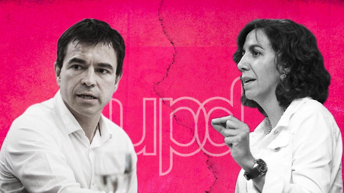 UPyD, rota y dividida: 'lozanistas' contra 'rosistas' para decidir el futuro del partido