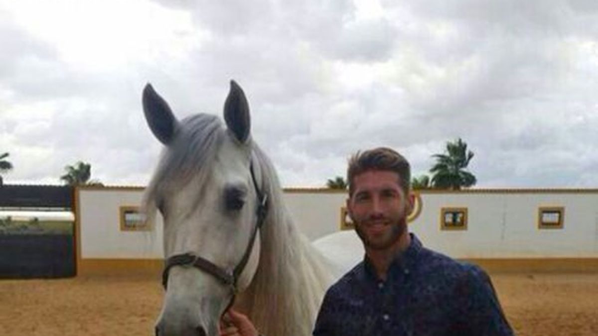 Sergio Ramos y sus caballos 'de oro': entramos en el negocio ecuestre del futbolista