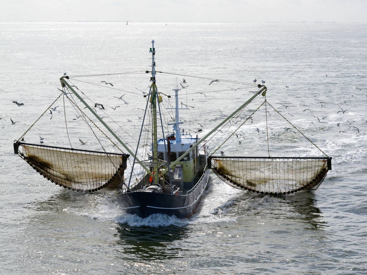 Foto: Un barco de pesca de arrastre. (iStock)