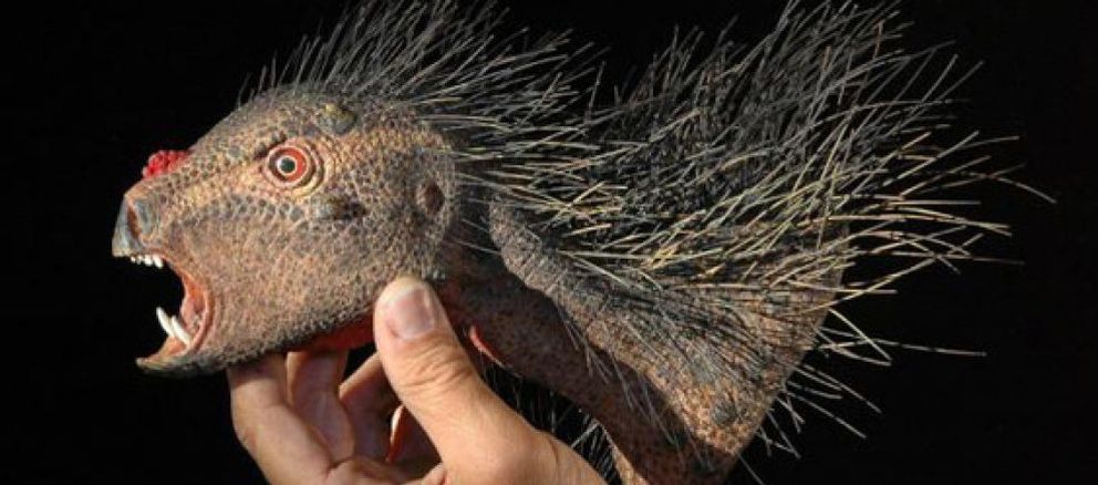 Foto: Descubren un nuevo tipo de dinosaurio, el puercoespín vampiro del Jurásico