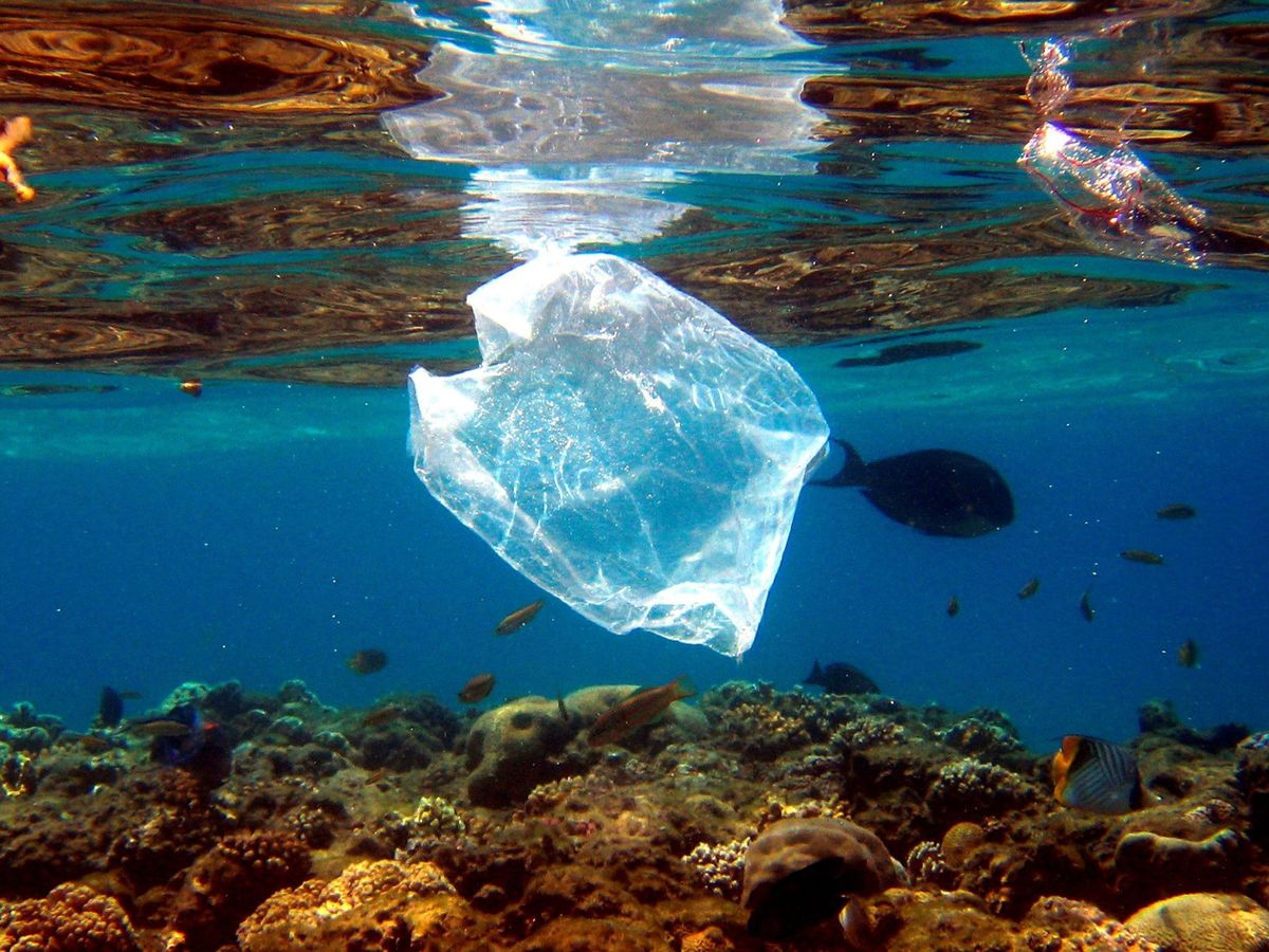 Foto: Contaminación por plástico en el Mar Mediterráneo. EFE
