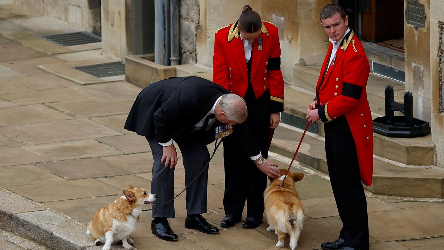 El príncipe Andrés saluda a los corgis de Isabel II. (Reuters)