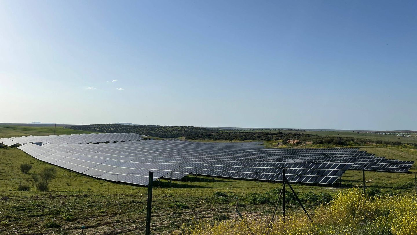 Vista de las placas fotovoltaicas en Usagre. (A.F.)