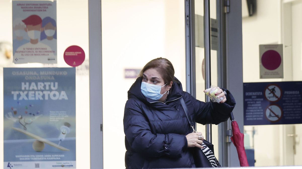 El Gobierno vasco recurrirá la imposición del uso de las mascarillas