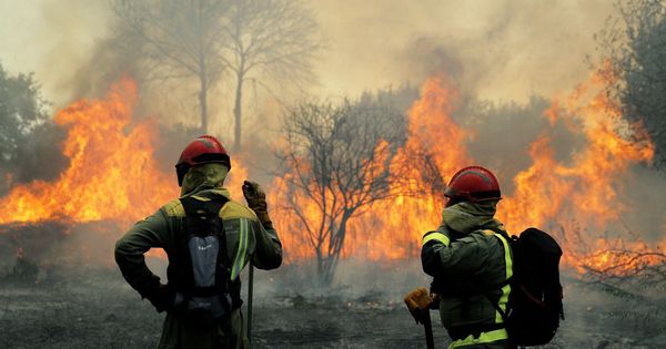 Foto: El incendio forestal de Rianxo (A Coruña). (EFE)