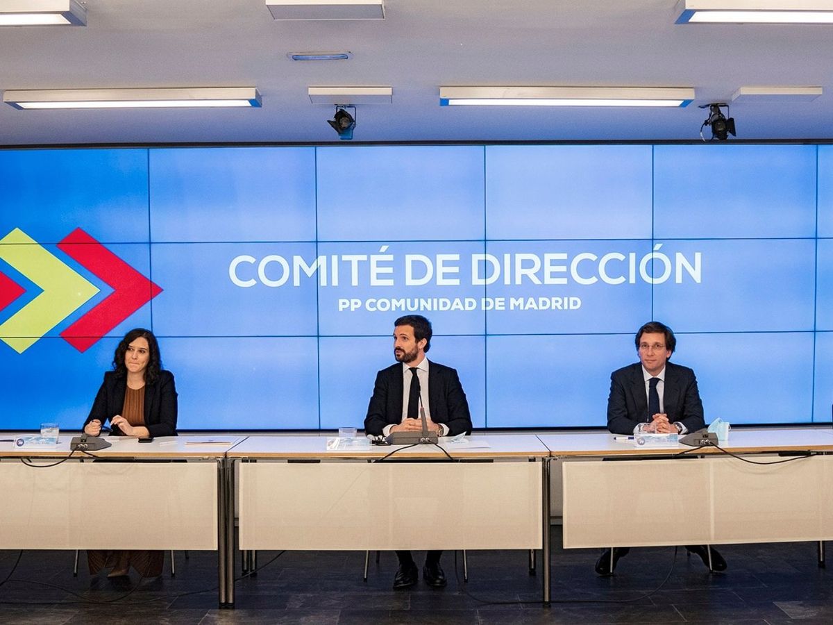 Foto: Pablo Casado preside el comité de dirección de Madrid junto a Ayuso, Almeida y Ana Camins. (EFE)