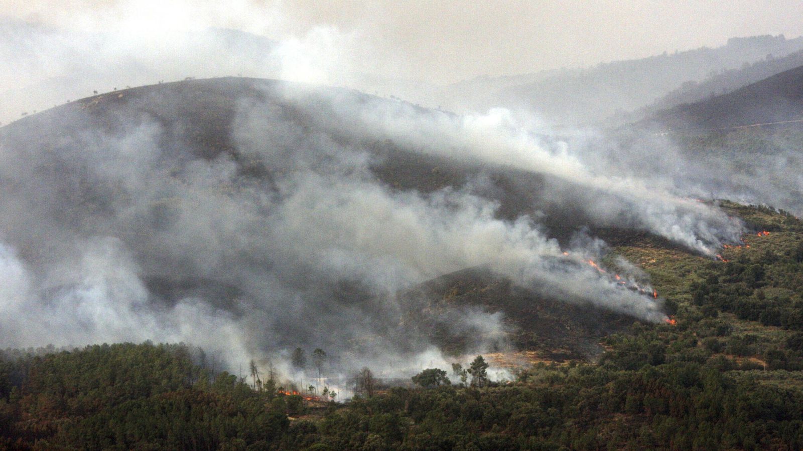 Foto: Uno de los frentes del incendio de la Sierra de Gata, en el término de Acebo (Cáceres). (EFE)