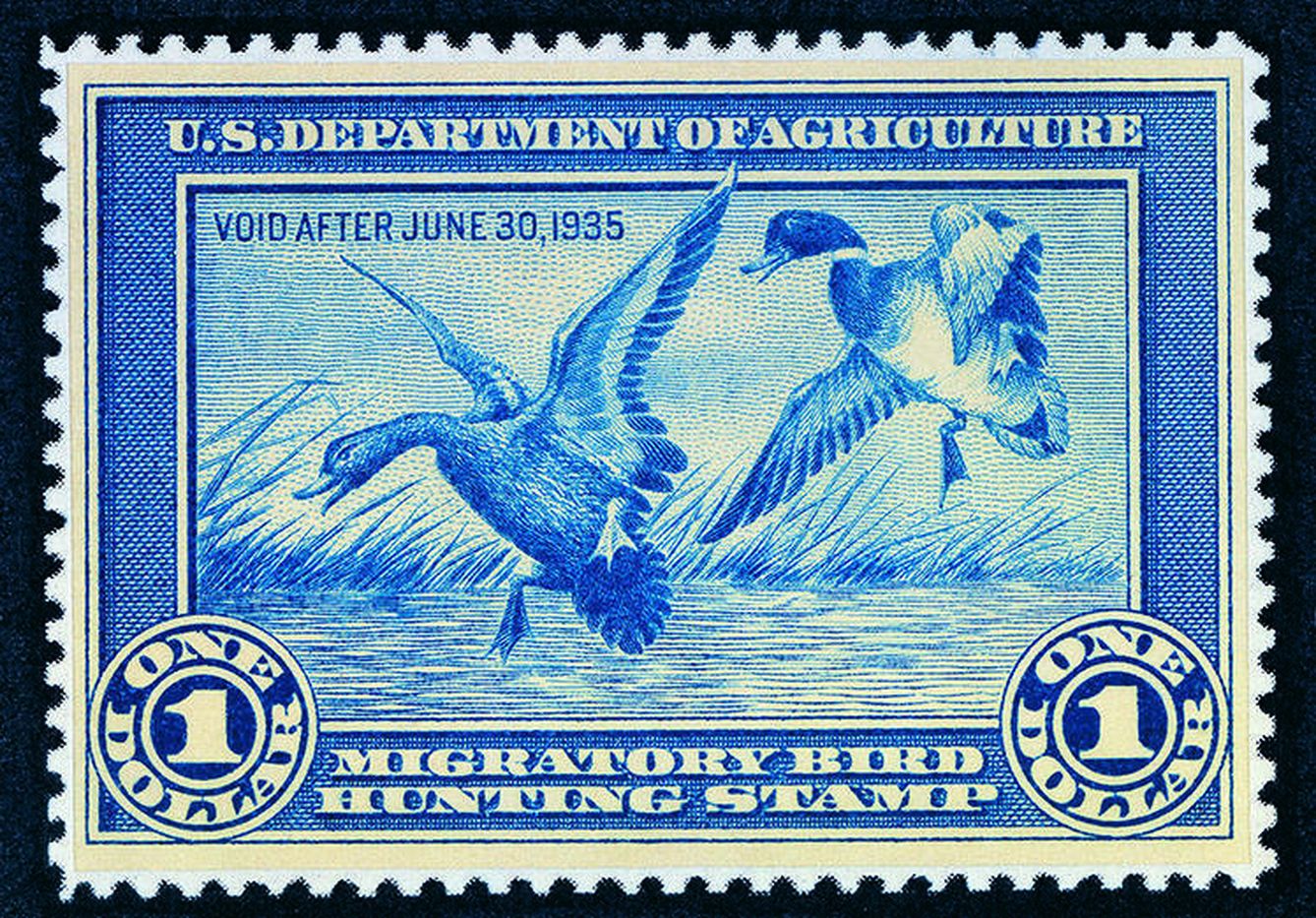La primera edición del 'Federal Duck Stamp' en 1934. U.S. Fish 