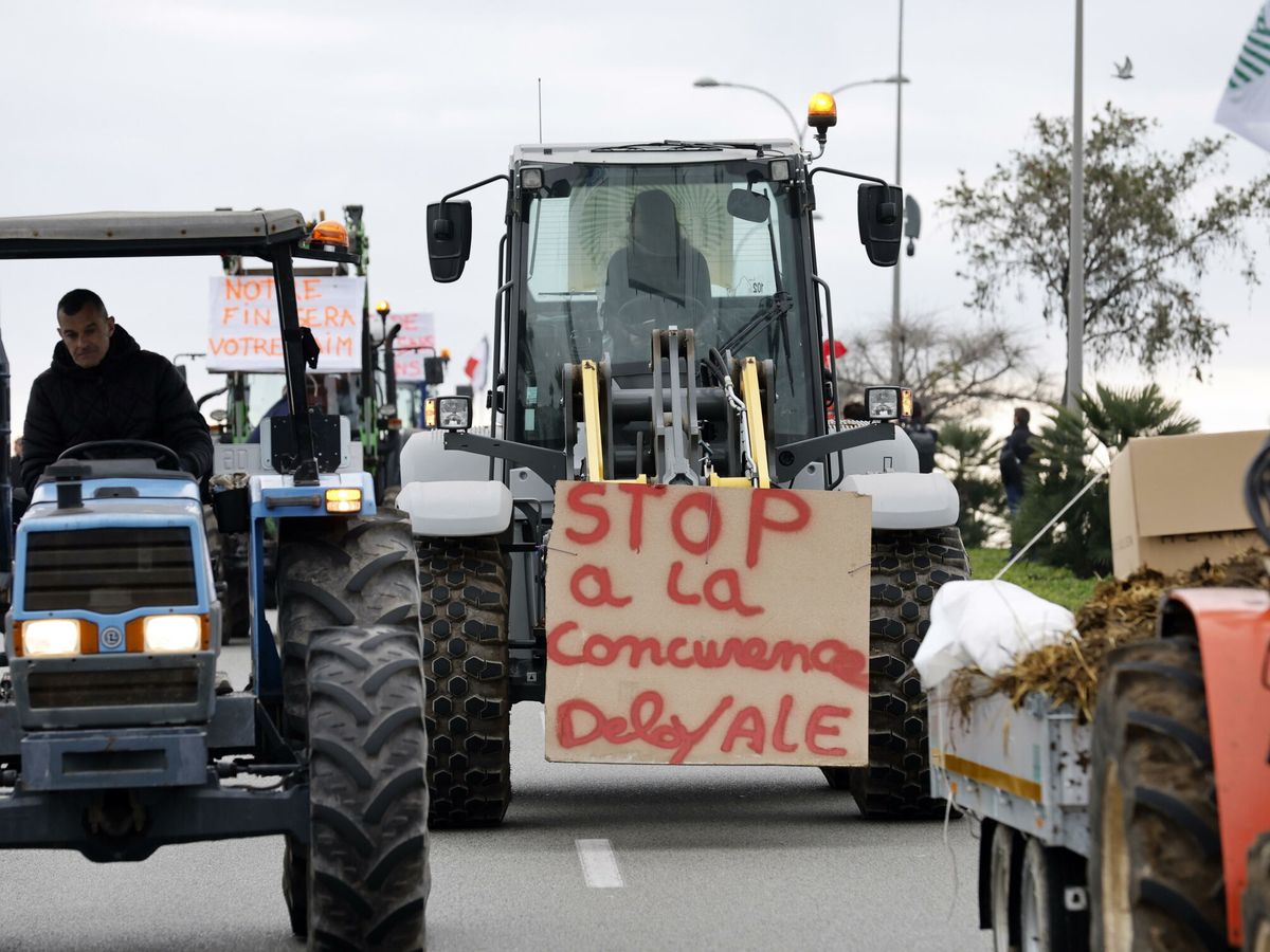 Foto: Imagen de las protestas de los agricultores. (EFE/Sebastien Nogiera)