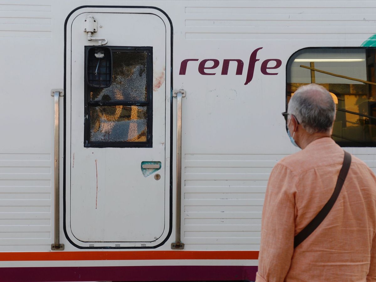 Foto: El tren Valladolid-Ávila. (EFE/Nacho Gallego)