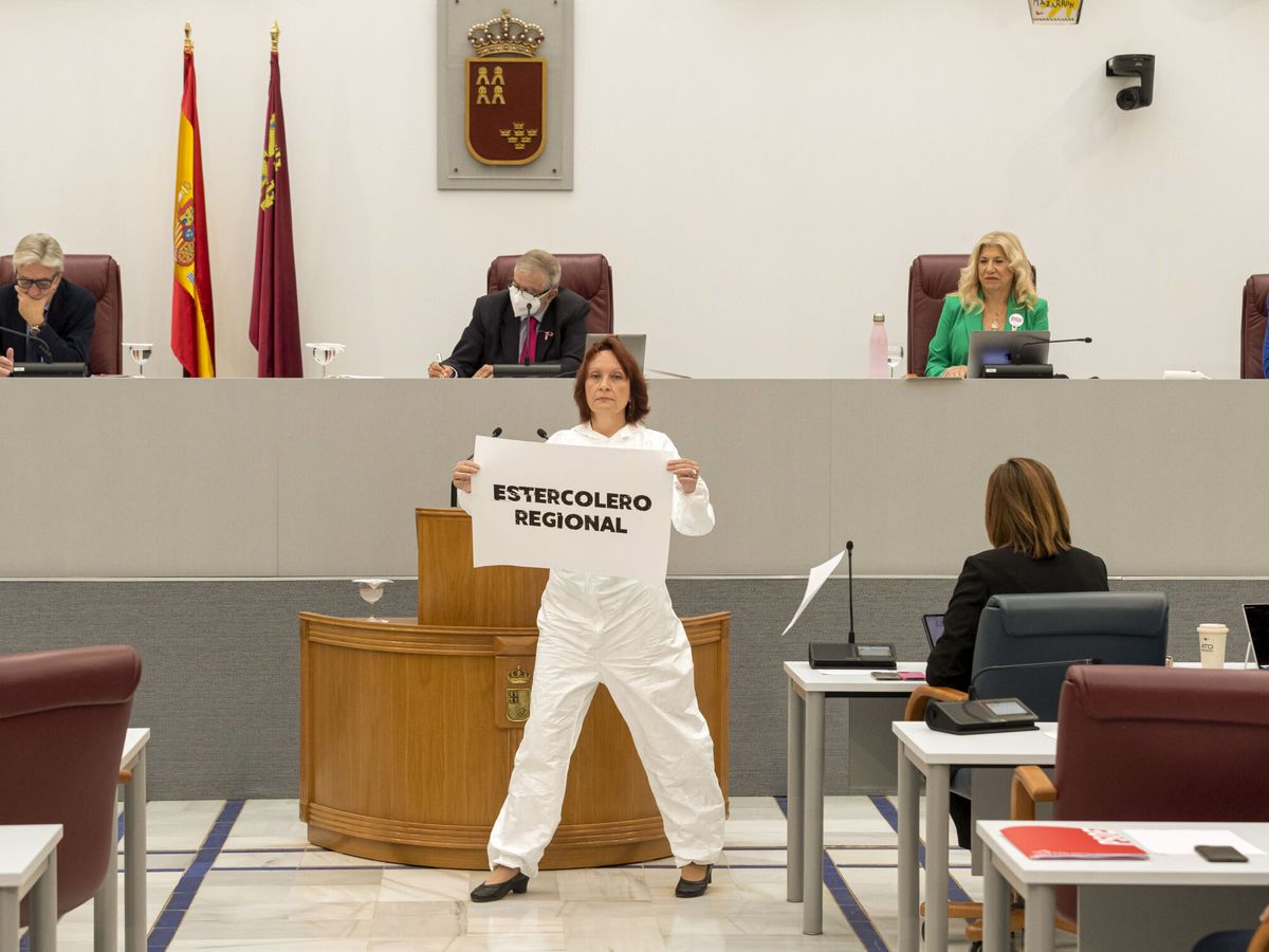 Foto: La diputada de Podemos en el Parlamento murciano María Marín. (EFE/Marcial Guillén)