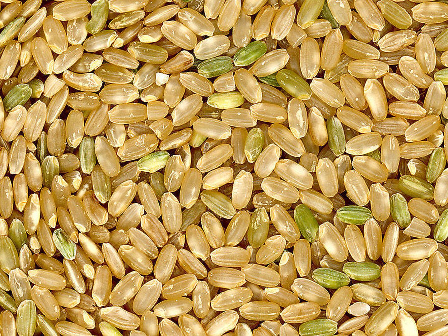  La cascarilla de arroz tiene sílice, un material refractario. (Imagen: Wikipedia)