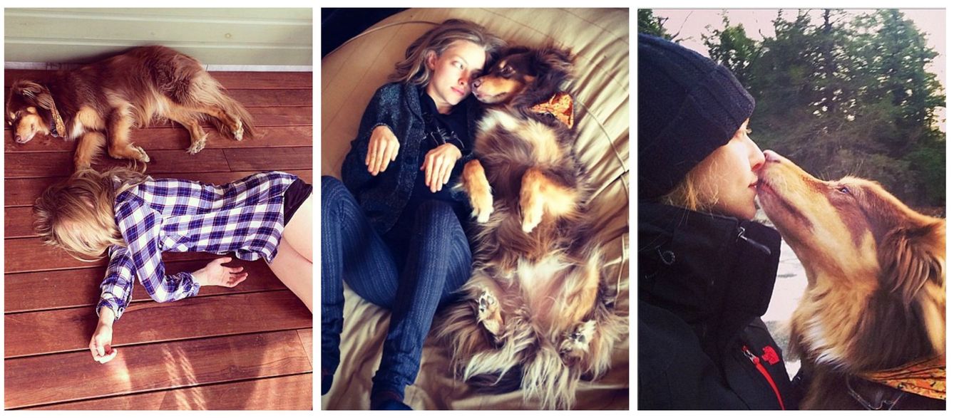 Foto: Amanda Seyfried no se separa ni un minuto de su perro Finn, al que adora