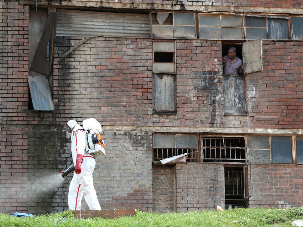 Foto: Un trabajador desinfecta los alrededores de una residencia en Sudáfrica. (Reuters)
