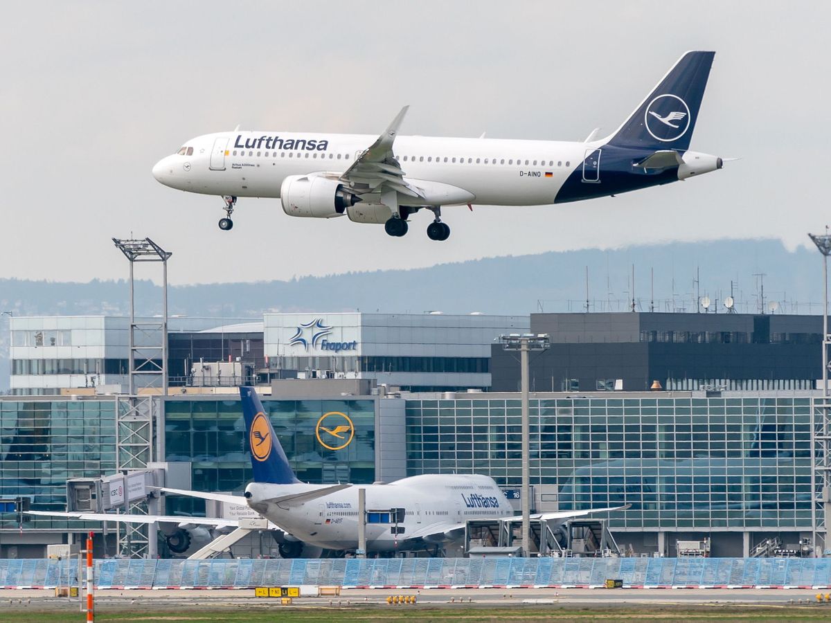 Foto: Avión de Lufthansa (EFE)
