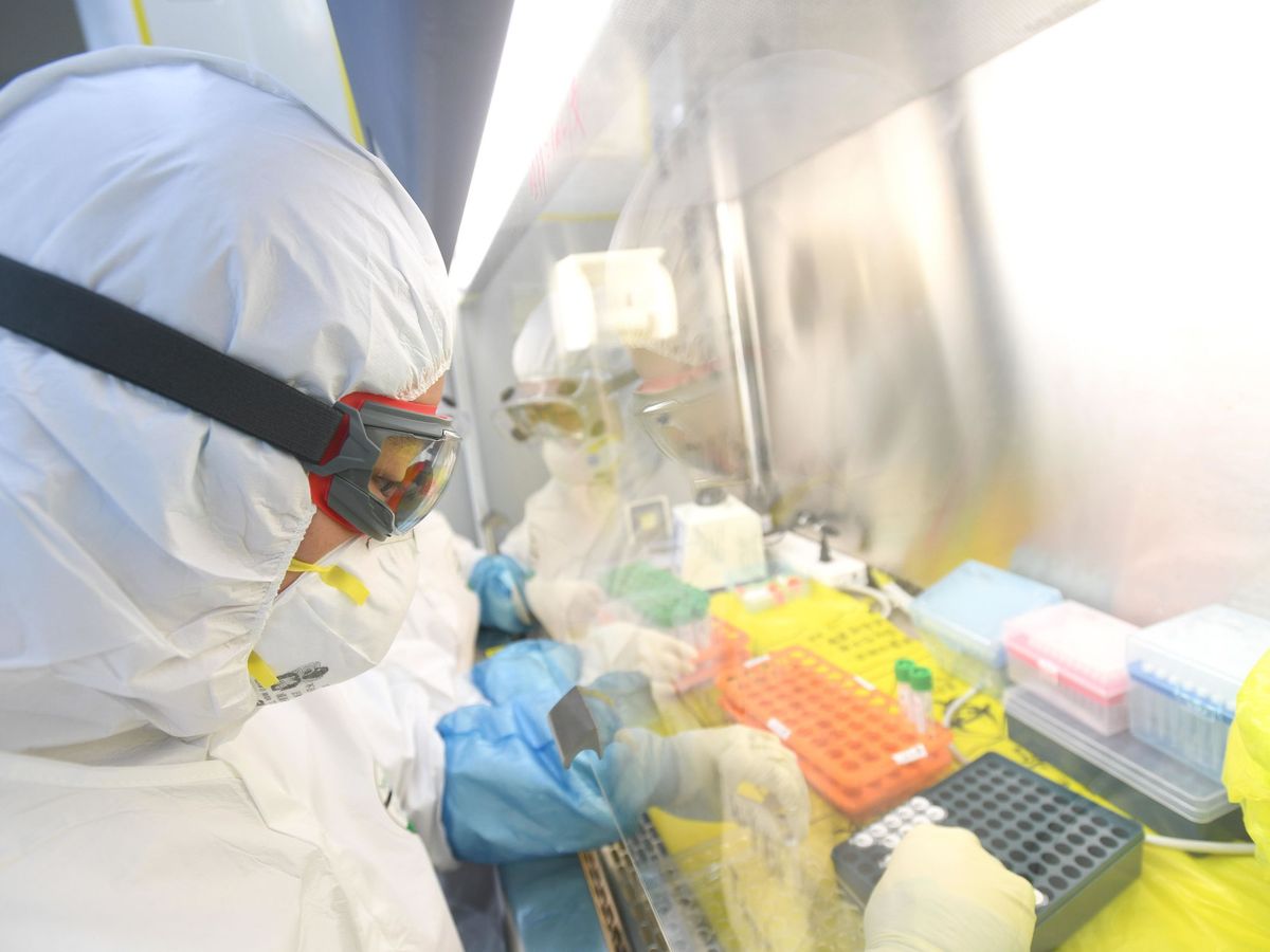 Foto: Pruebas científicas del coronavirus en un laboratorio de Wuhan. (Reuters)