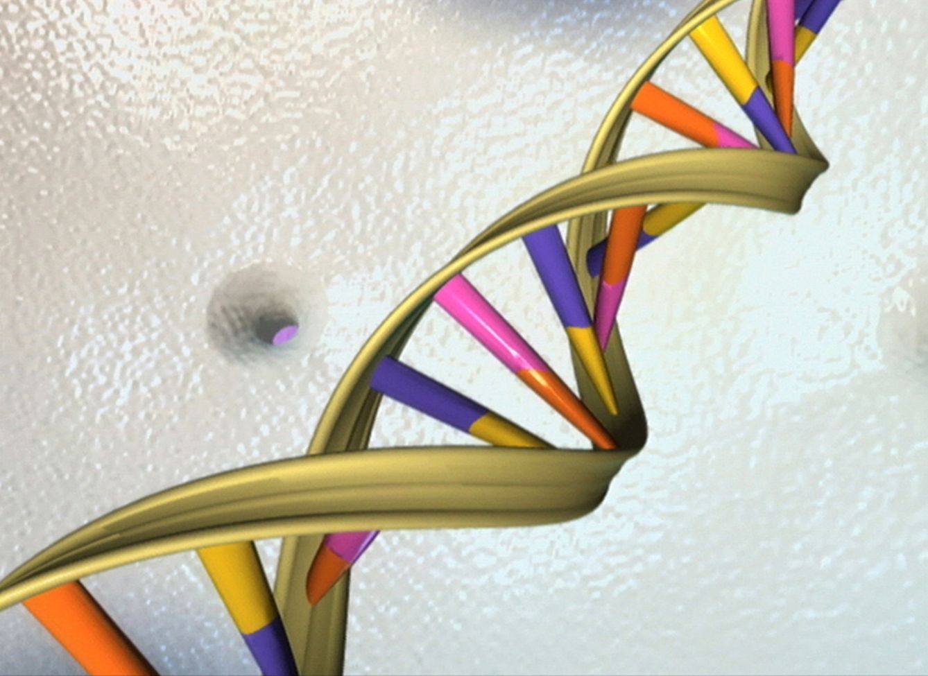 Ilustración de una cadena de ADN. (Reuters)