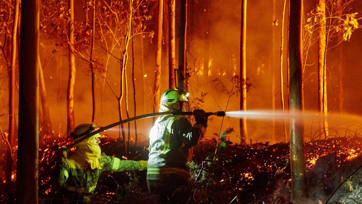 El fuego arrasa en España 69.859 hectáreas en los 6 primeros meses, el peor año del decenio