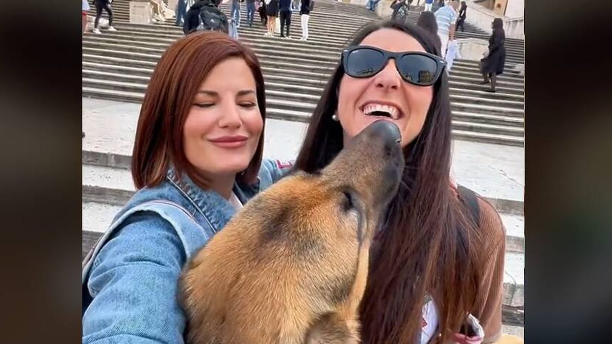 Viaja a Roma con perro: todo lo que puedes hacer en la capital italiana junto a tu mascota