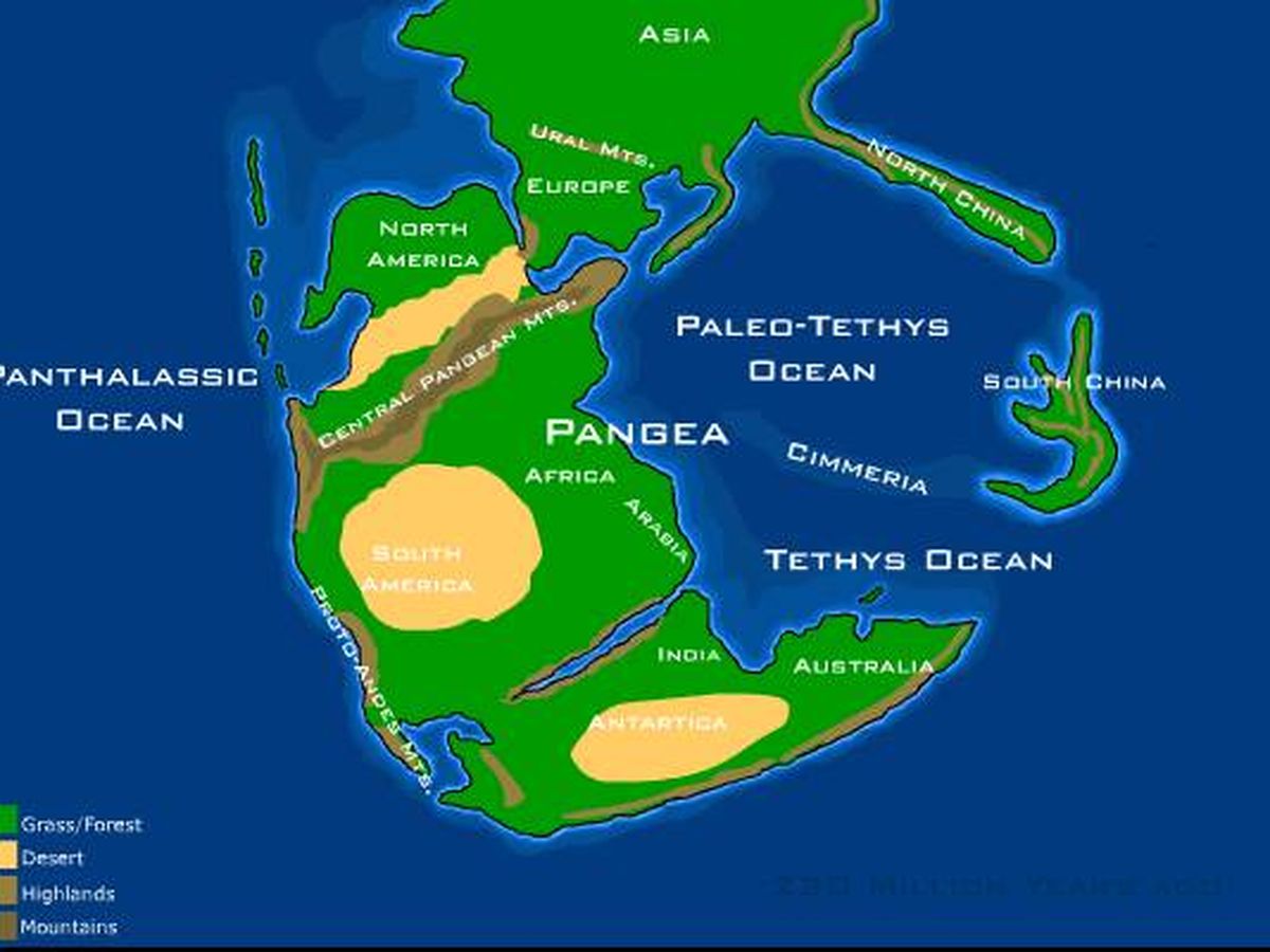 Foto: Proyección del mapa del supercontinente Pangea, con su forma hace 237 millones de años (Wikimedia/Dropzink)