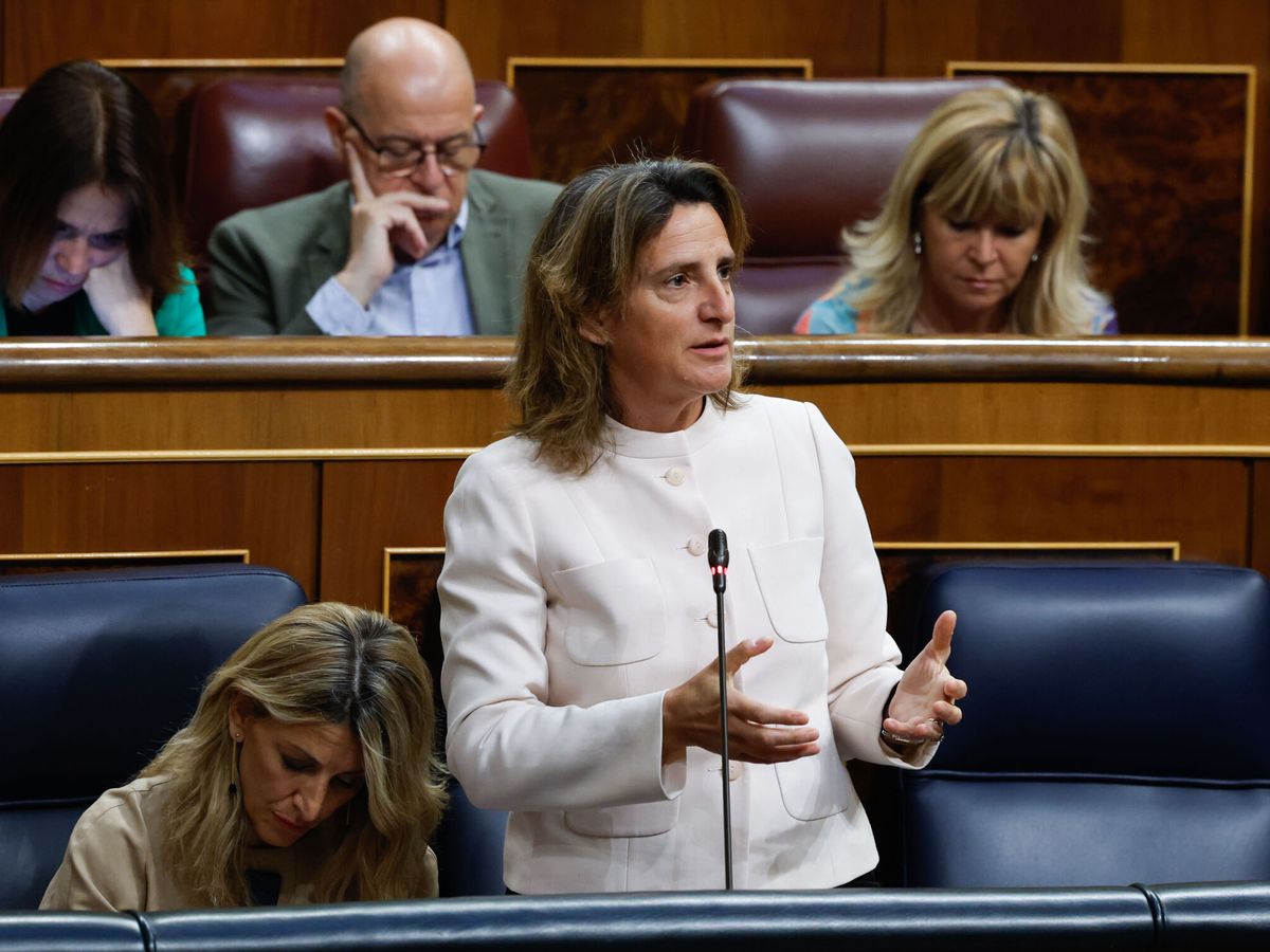 Foto: Teresa Ribera, ministra de Transición Ecológica, en el Congreso. (EFE / J. J. Guillén)
