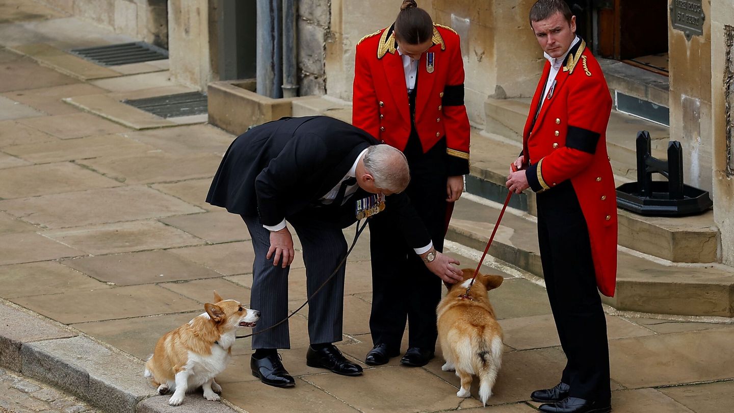 El príncipe Andrés saluda a los perros corgis de Isabel II. (Reuters)