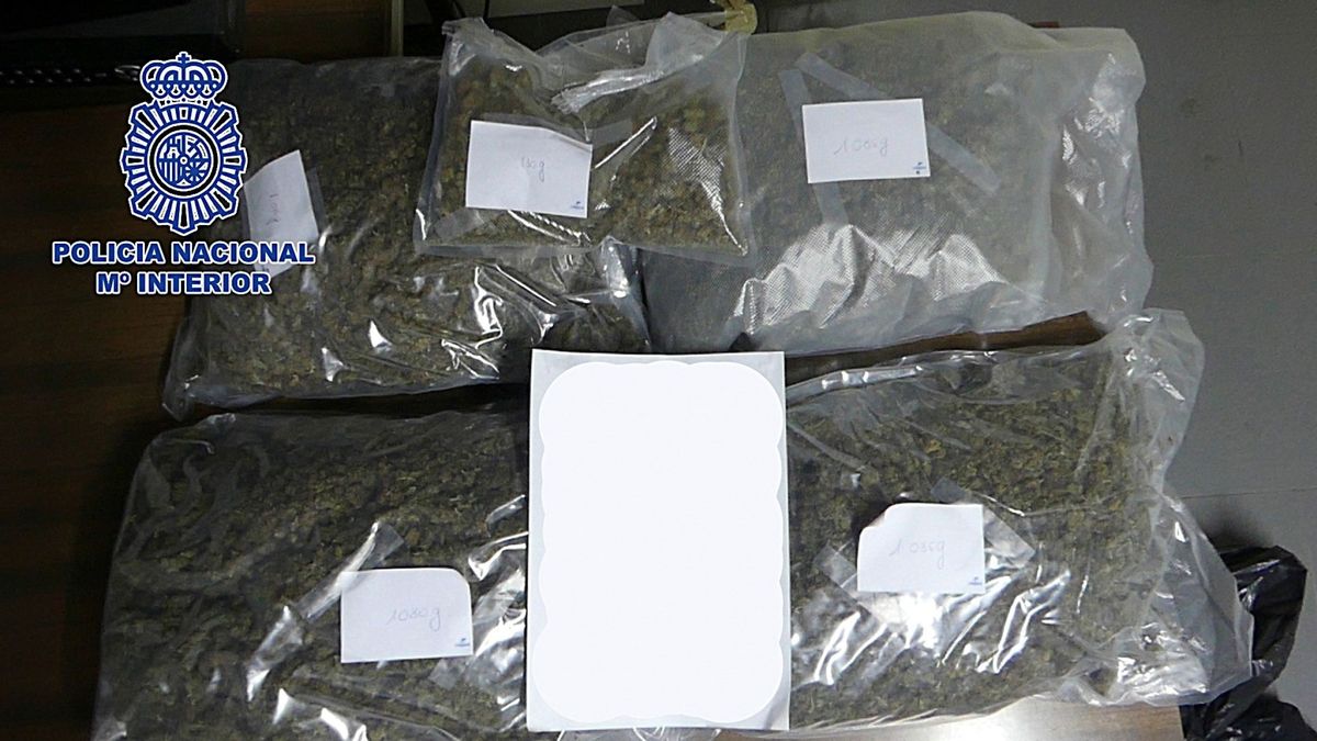 Requisan 60 kilos de marihuana en una vivienda de Camarma de Esteruelas