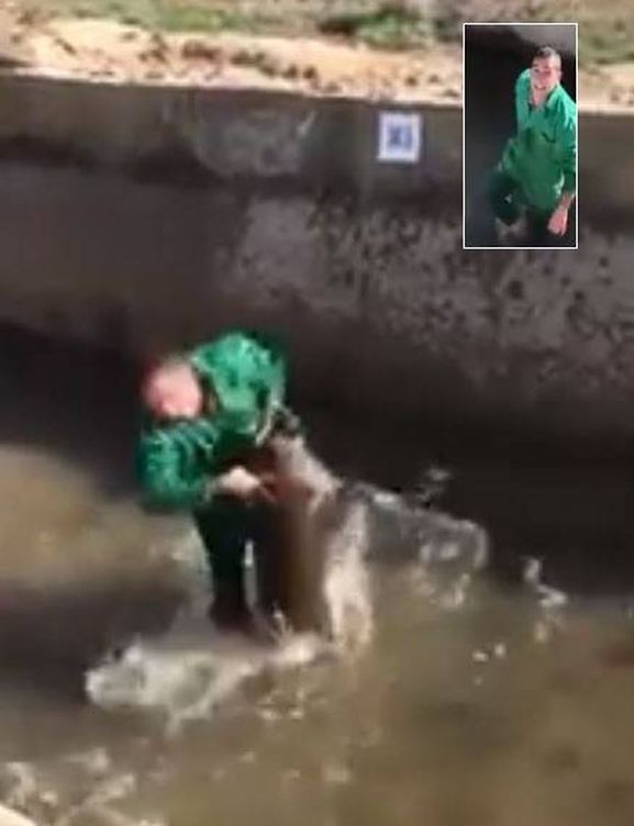 Foto: El hombre agrede cruelmente al jabalí en el vídeo difundido por la Guardia Civil.