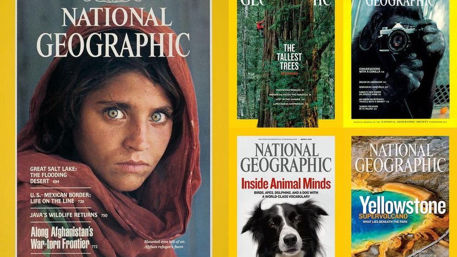 Foto: National Geographic era propiedad de una entidad sin ánimo de lucro. (EC) 
