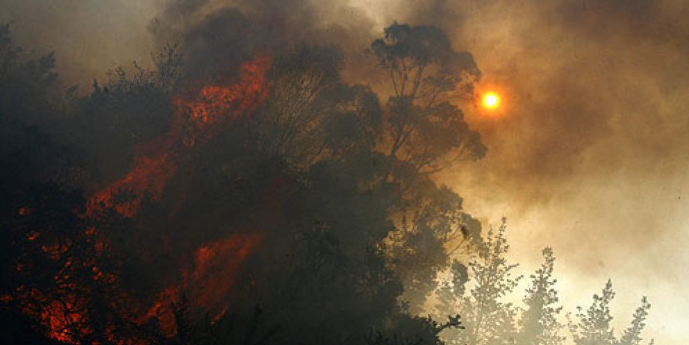 Foto: El fuego causa un desastre ecológico sin precedentes en las Fragas do Eume