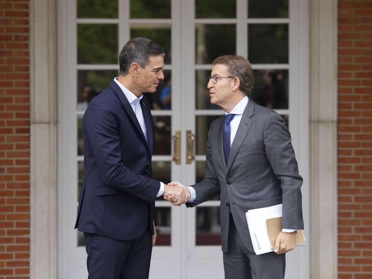Foto: El presidente del Gobierno, Pedro Sánchez (i), y el líder del PP, Alberto Núñez Feijóo (d) . (EFE/Sergio Pérez)