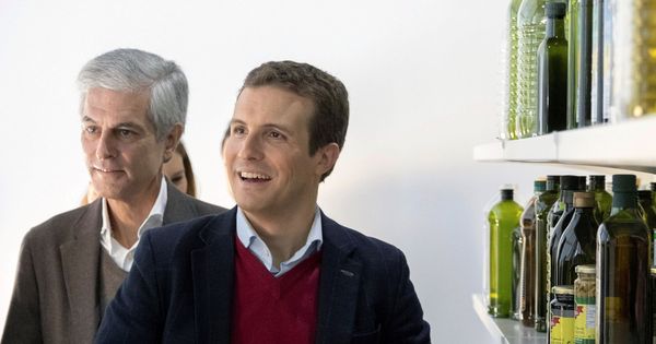 Foto: El líder del PP, Pablo Casado, acompañado del político y presidente de la Fundación "Concordia y Libertad", Adolfo Suárez Illana. (EFE)