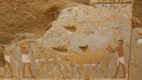 Descubren pinturas de escenas cotidianas en una tumba egipcia de hace 4.300 años 