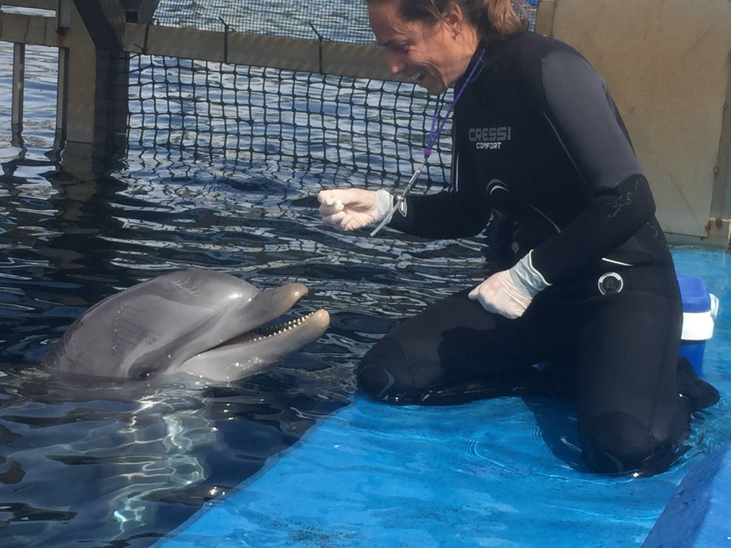 Una cuidadora toma muestras de saliva de un delfín mular en el Oceanogràfic de Valencia (A. Villarreal)