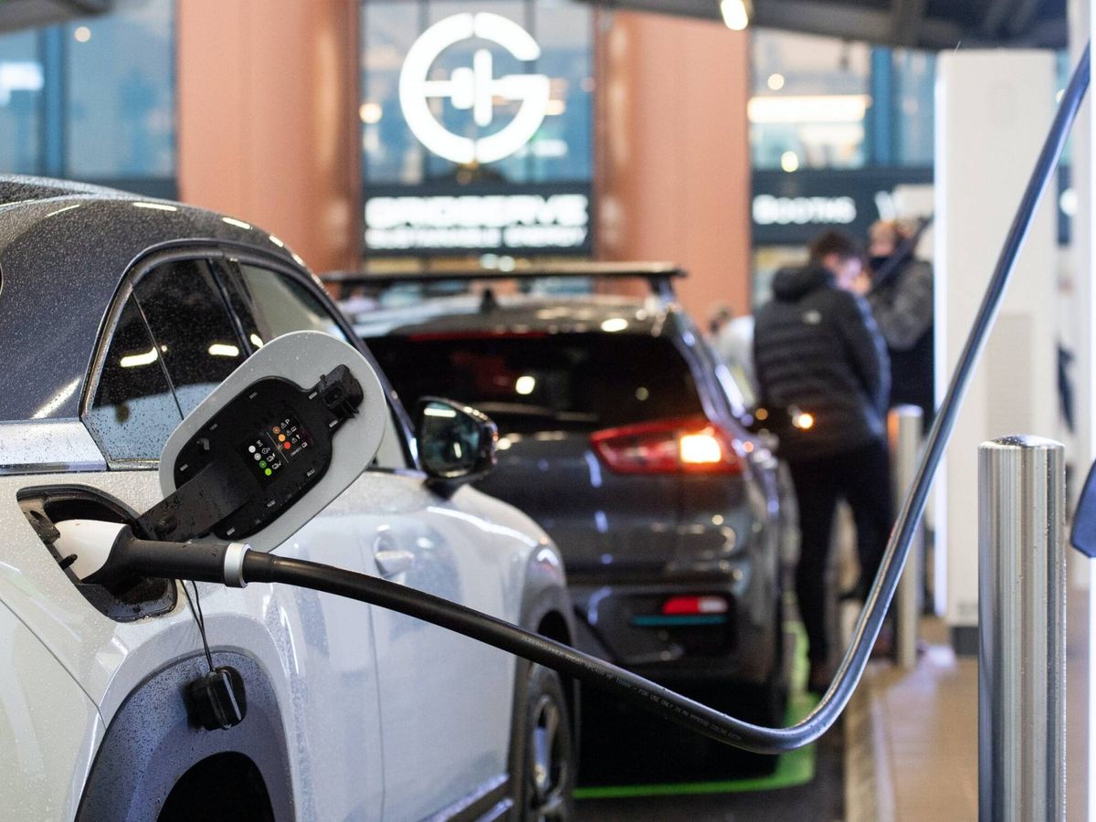 Foto: En el primer semestre, las ventas de vehículos eléctricos puros supusieron el 1,96%.
