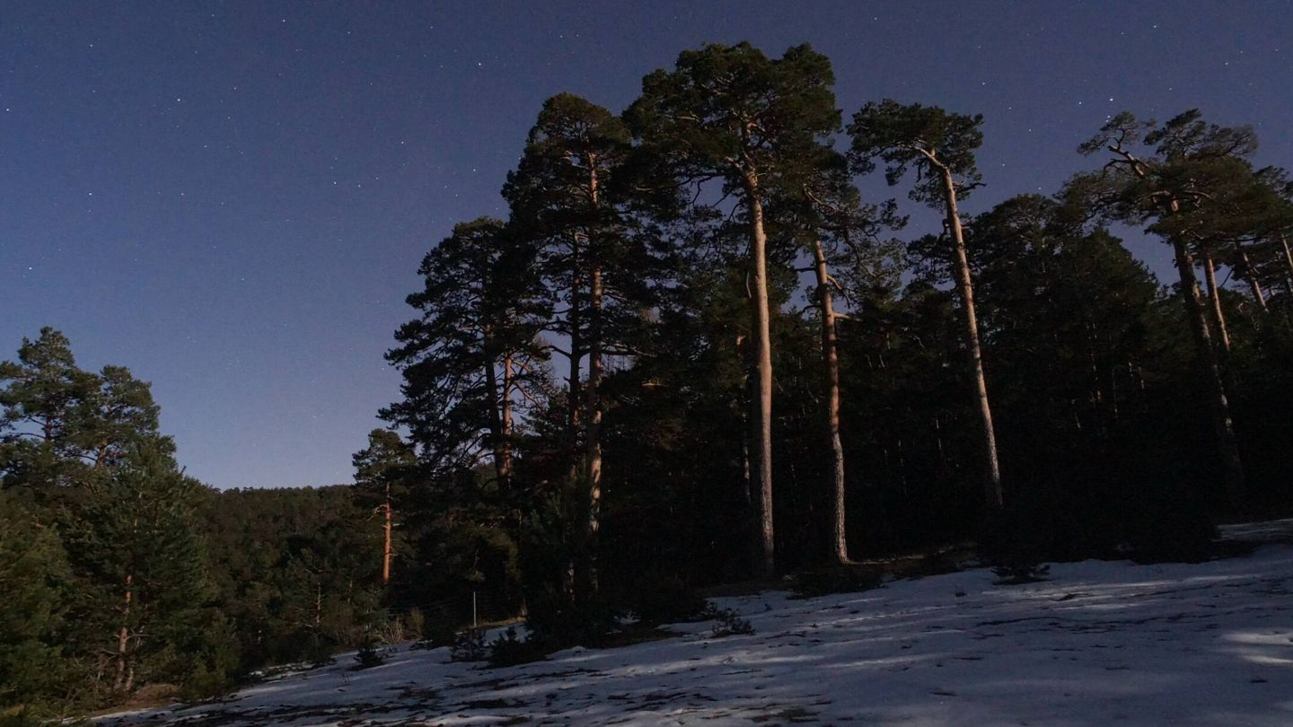 Aunque frías, las noches en el monte son secas. (Carlos de Hita)