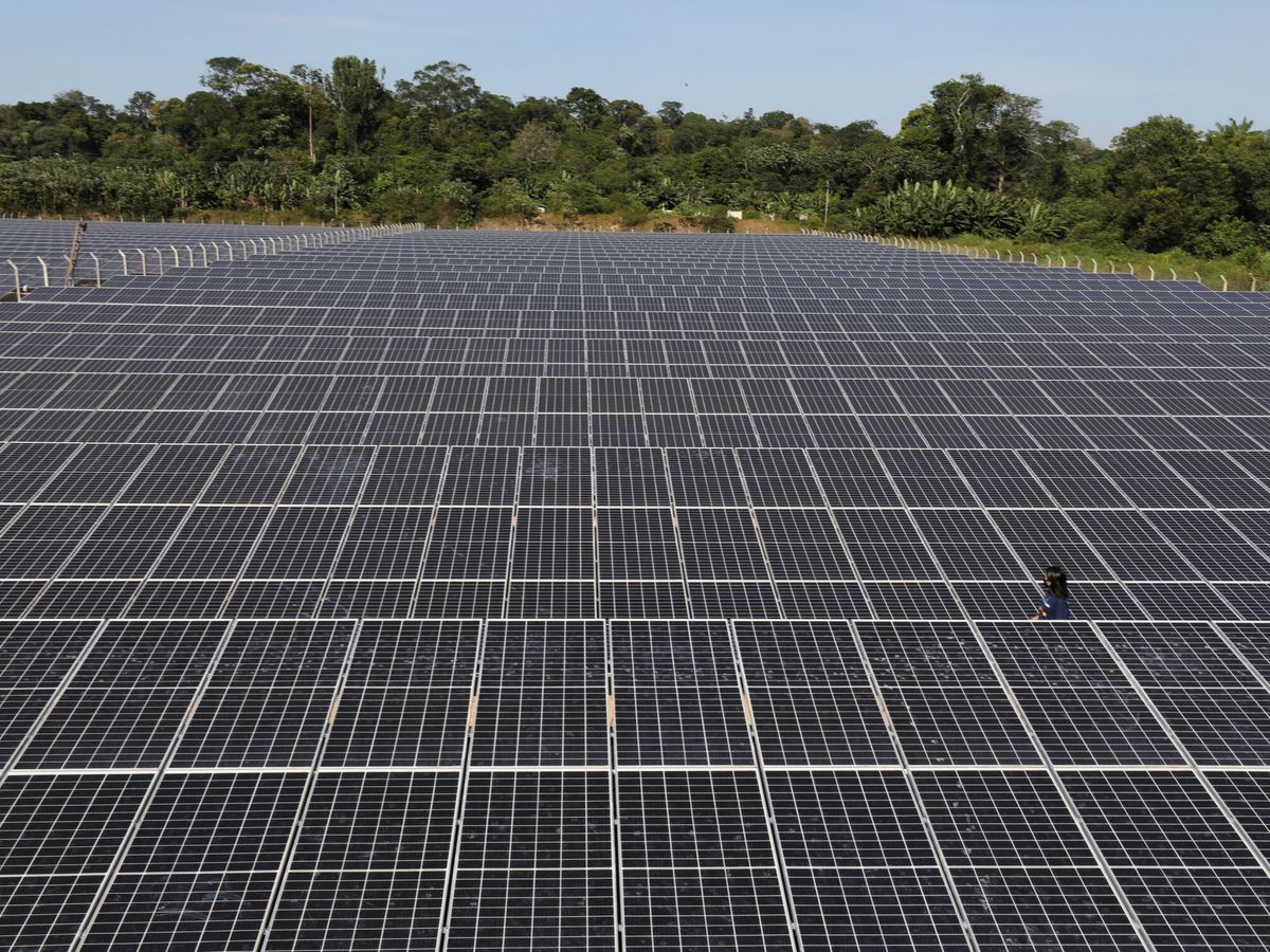 Foto: Paneles solares. (Reuters)