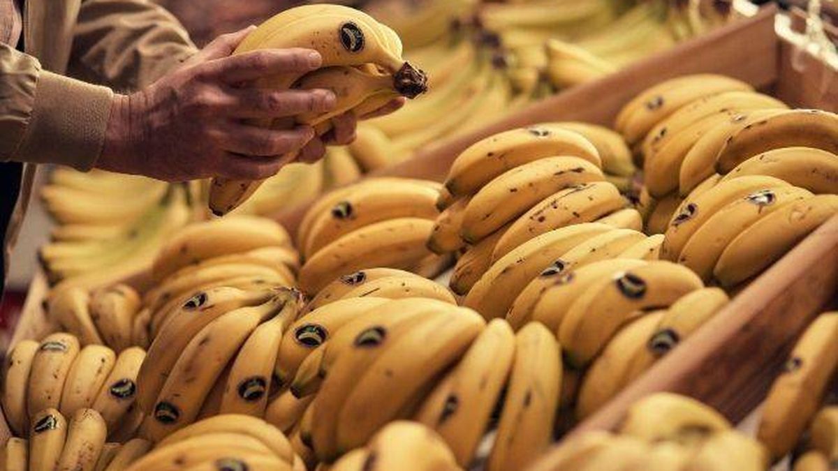 La ingeniería genética crea un plátano perfecto que no se pudre y mantiene su sabor    